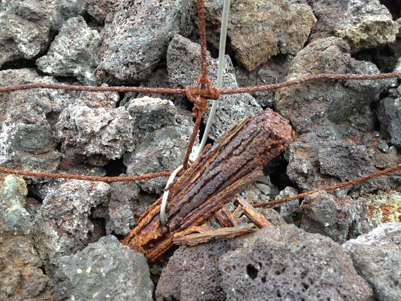 A small, slender, brownish-orange colored object wrapped in wire of the same color. The object looks jammed/anchored into the surrounding gray rocks.. The object looks to be cylindrical with veiny grooves carved into it.