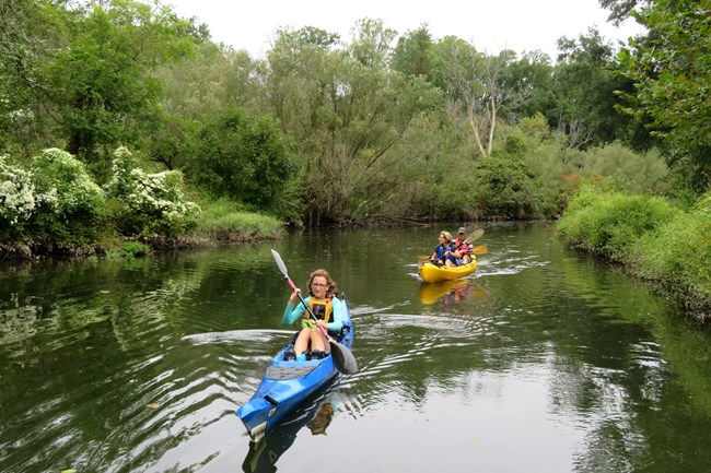 Three people kayaking down a stream.