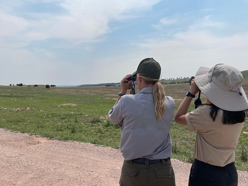 two women looking at the bison herd through their binoculars
