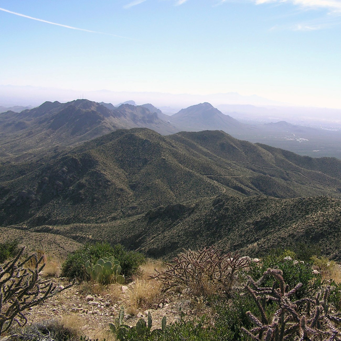 Photo of rugged desert peaks with cacti in the foreground