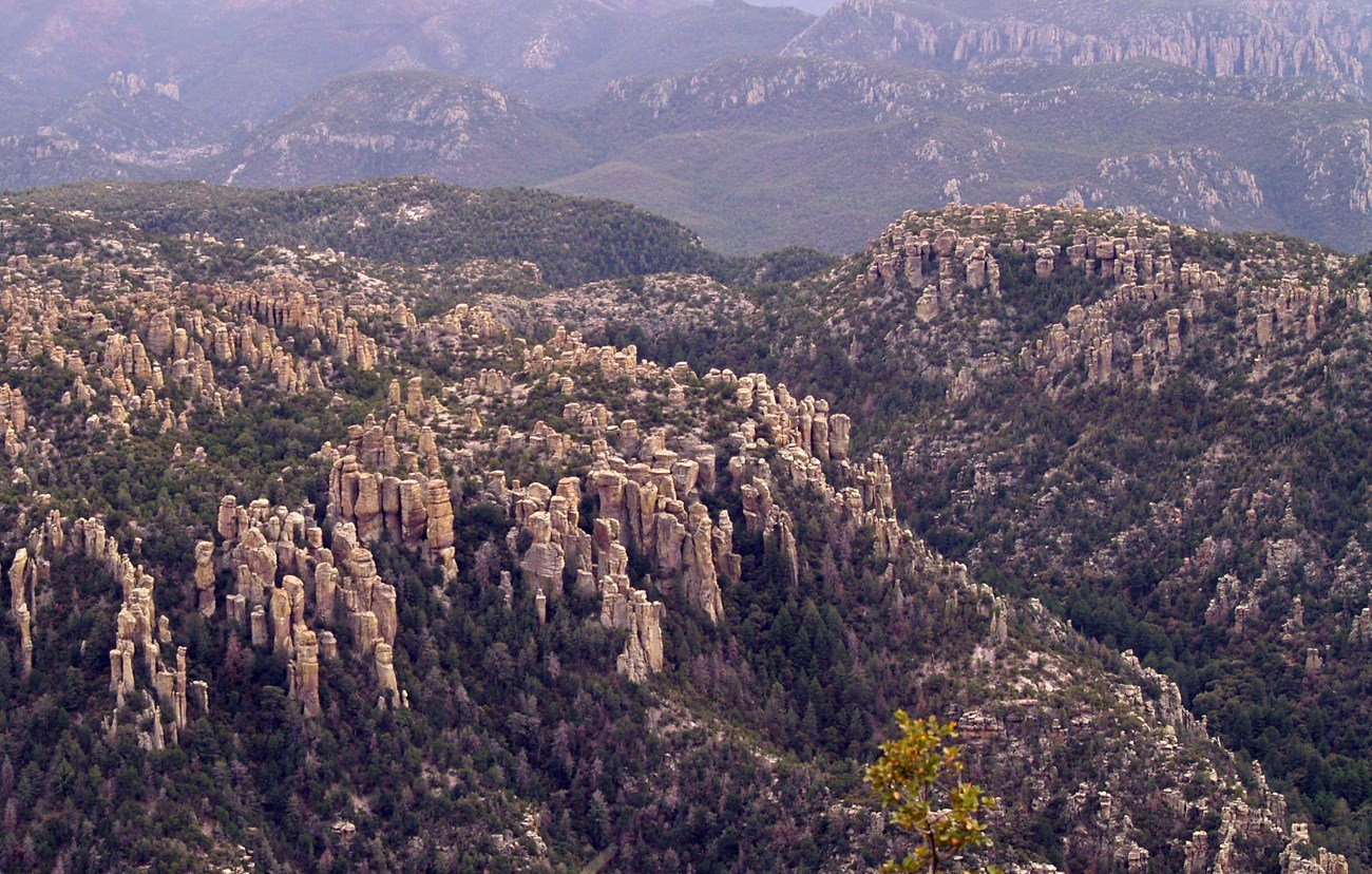 photo of a rolling landscape covered with trees and tall rock spires