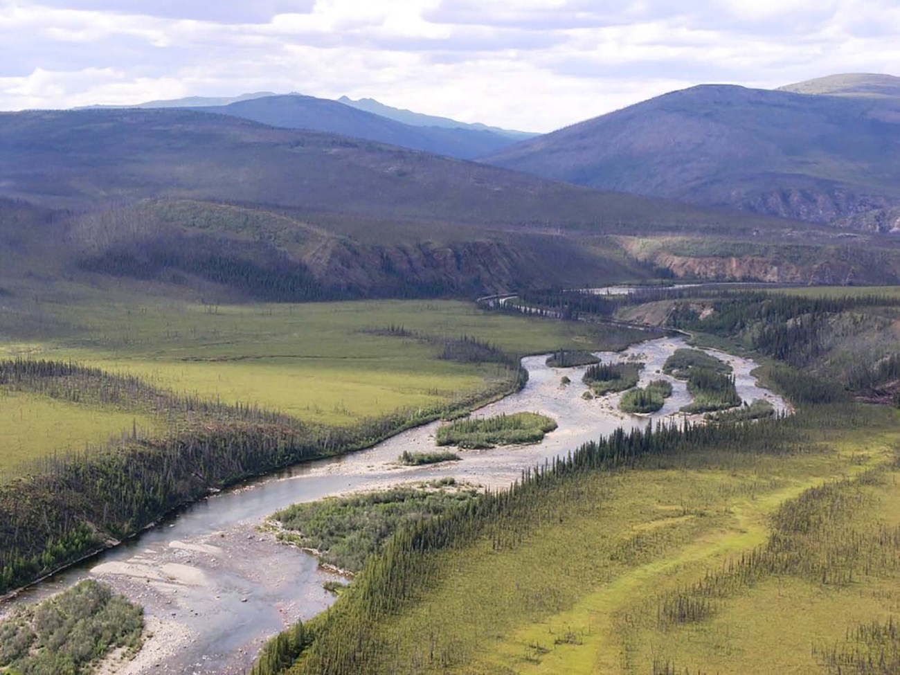 A river winds through a forested valley from the mountains.