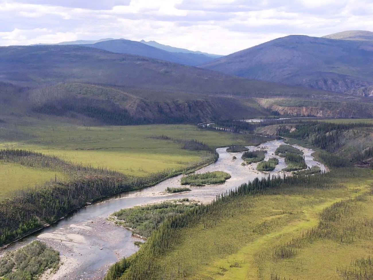 Cover_CharleyRiver_webtile A river winds through a forested valley from the mountains.