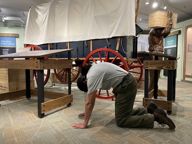 Park ranger in cat pose yoga position, kneeling with arms extended and hands on floor and back arched upwards.