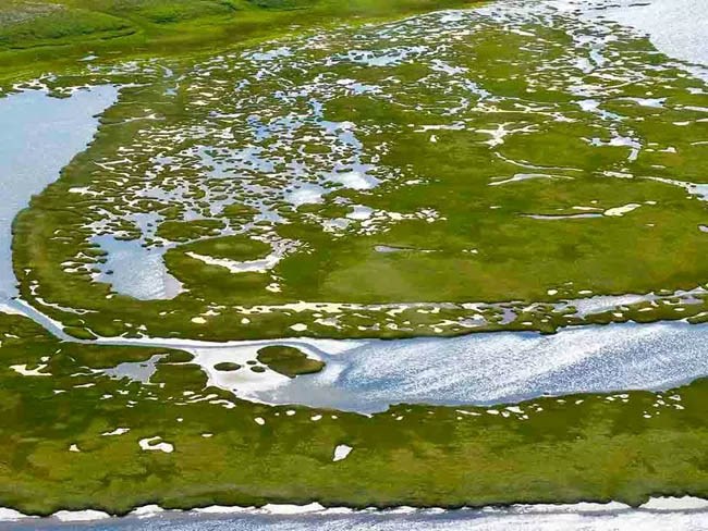 Aerial view of lagoon with vegetation.