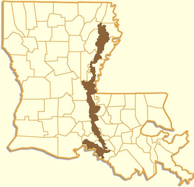 Critical Black Bear Habitat in Louisiana Fall 2011 coursework from Sharky’s undergraduate class.