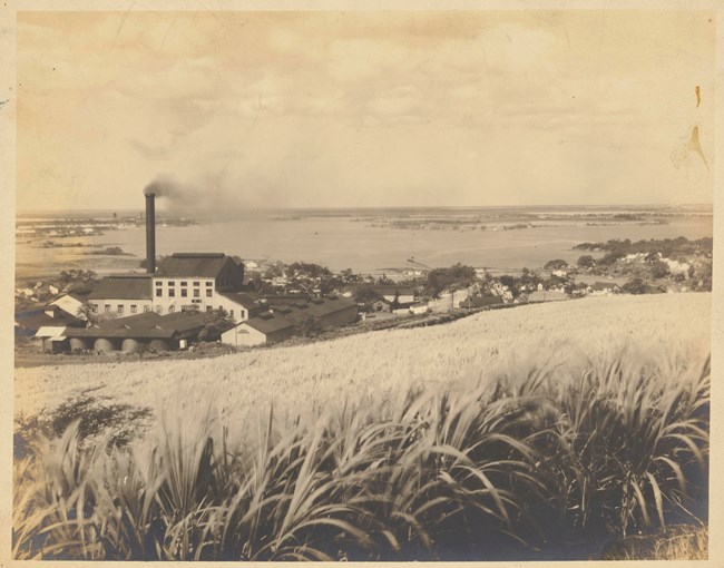 A sepia-toned black and white photo looking down a slope towards Pearl Harbor. Sugar cane in the foreground. In the middle ground is a large complex with a tall smokestack with smoke coming out of it. Collection Hawai'i State Archives.