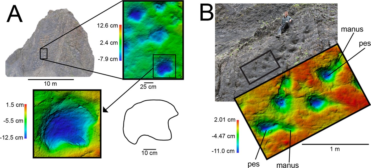 three colored models of dinosaur tracks