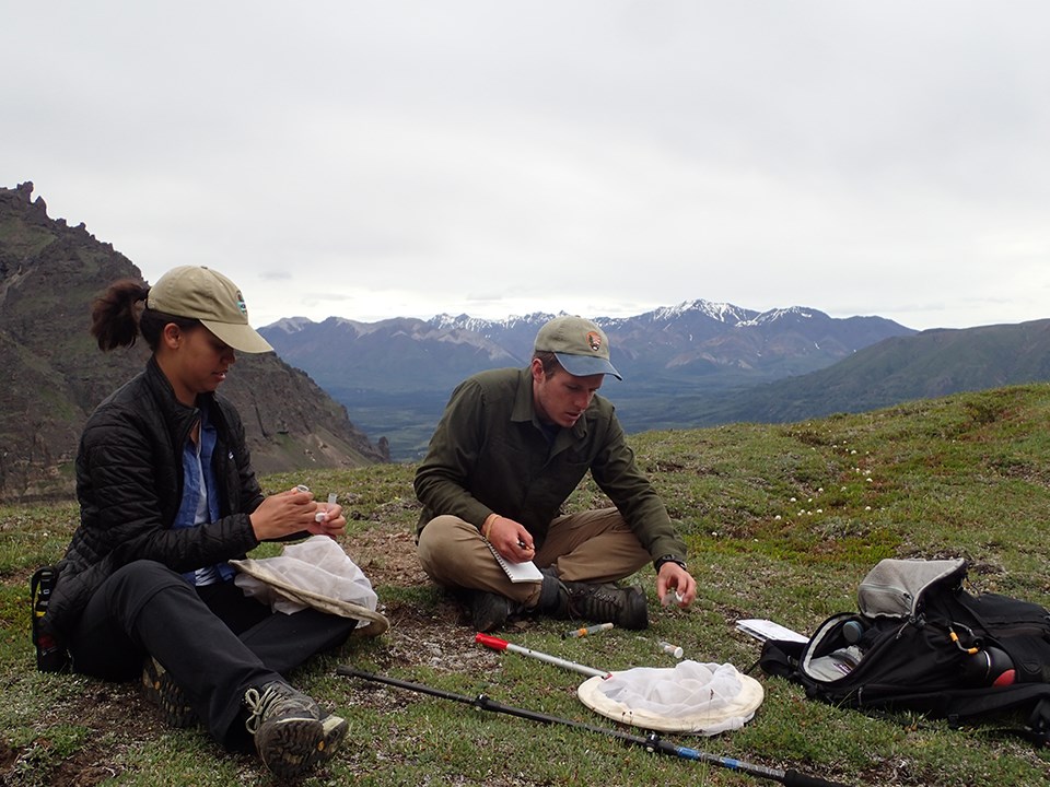 scientists at work outside with mountain range behind them in the distance