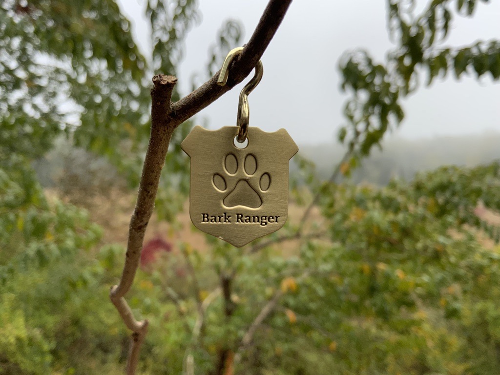 A BARK ranger dog tag hanging from a branch.