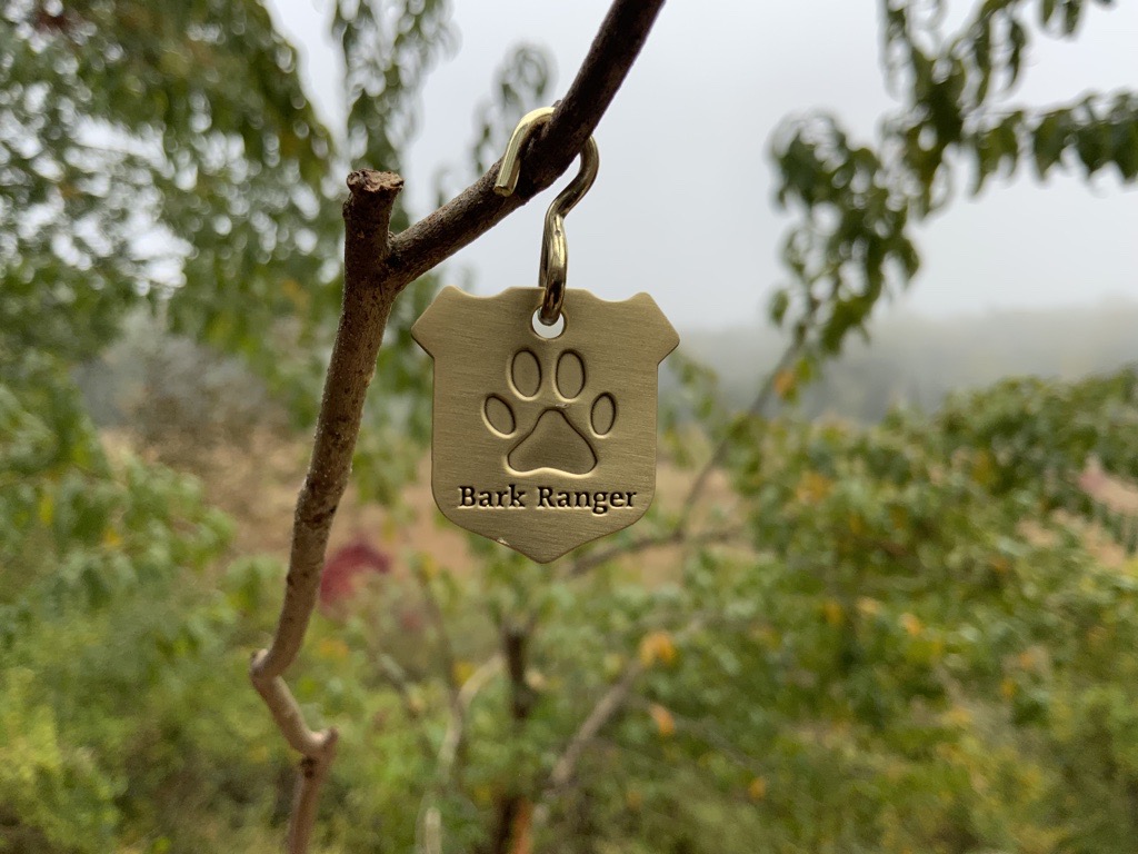 DEWA BARK Ranger Tag A BARK ranger dog tag hanging from a branch.