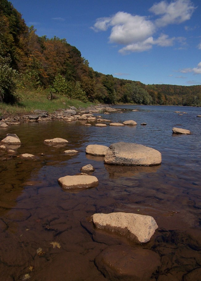 Large rocks are visible throughout the shallow riverbed