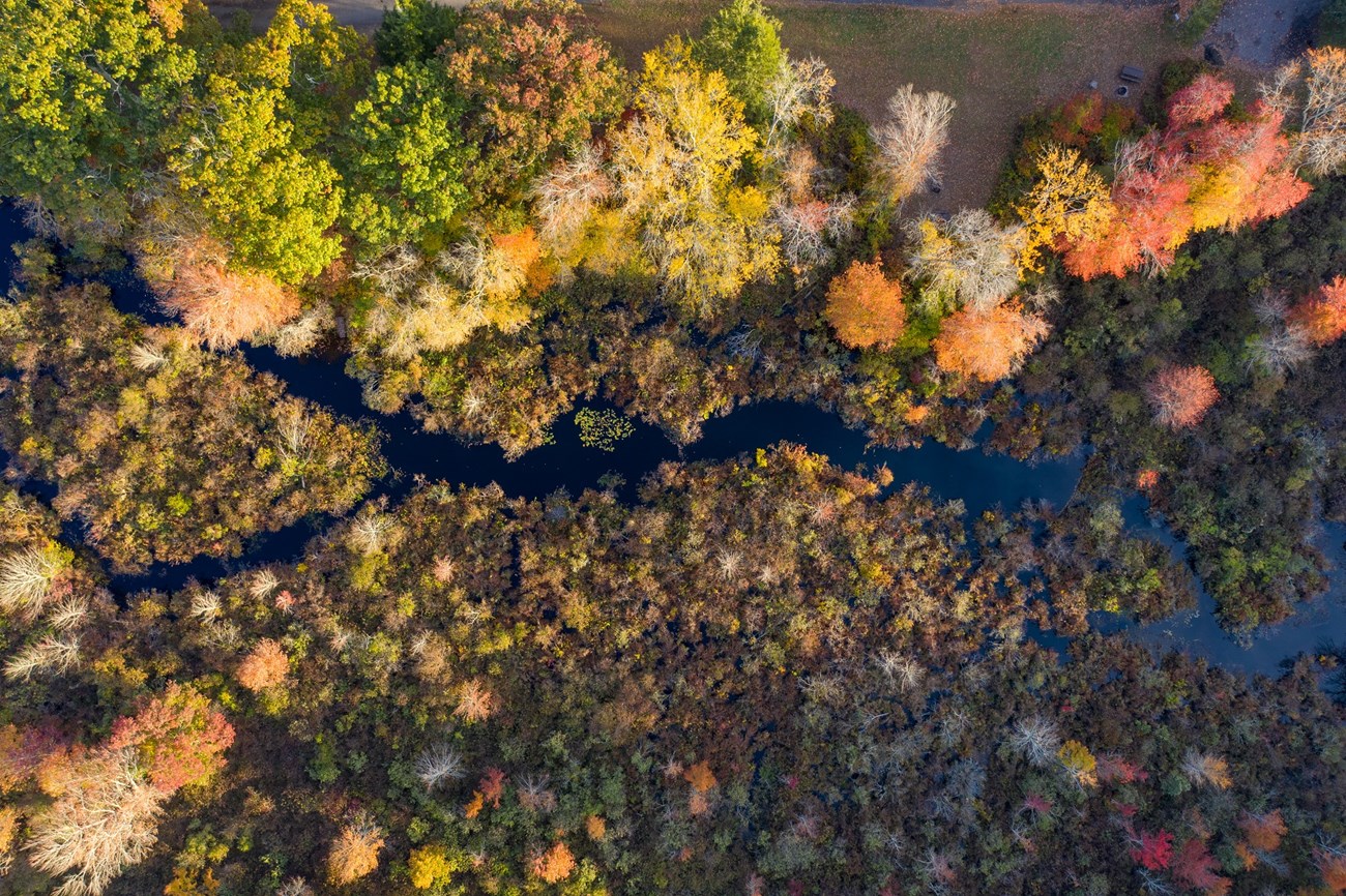 The colors along the Eightmile river are particularly vibrant in the fall. Photo Courtesy of Eightmile River Coordinating Committee.