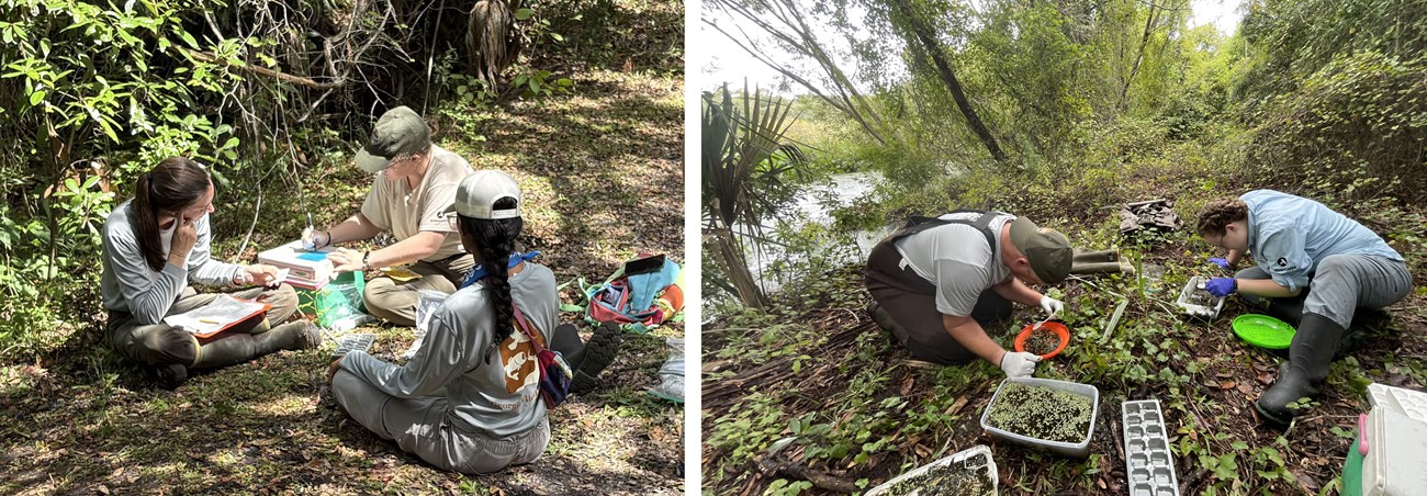 People sitting around with clipboards and two people looking at specimens in trays