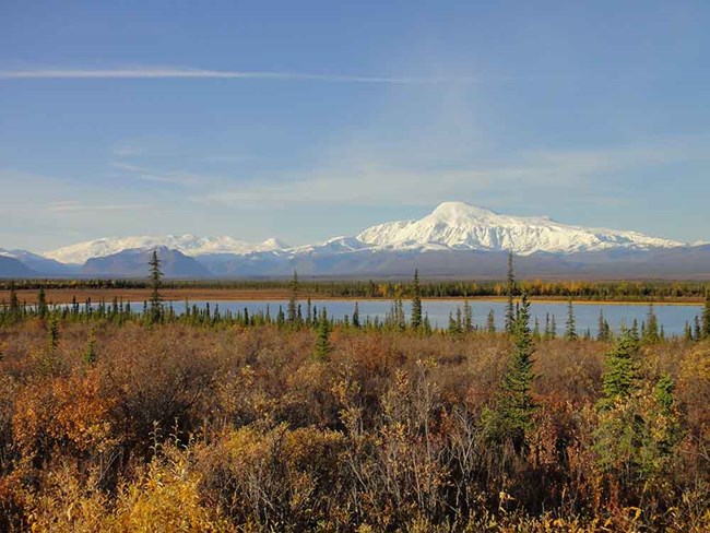 DSC00200_web A subarctic landscape with boreal forest, lake, and mountains.