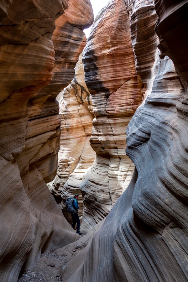 McKenzie in a slot canyon in Grand Staircase-Escalante National Monument, Utah