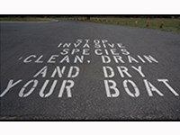 A paved boat ramp with the words Stop Invasive Species, Clean Drain and Dry Your Boat painted on the ground.