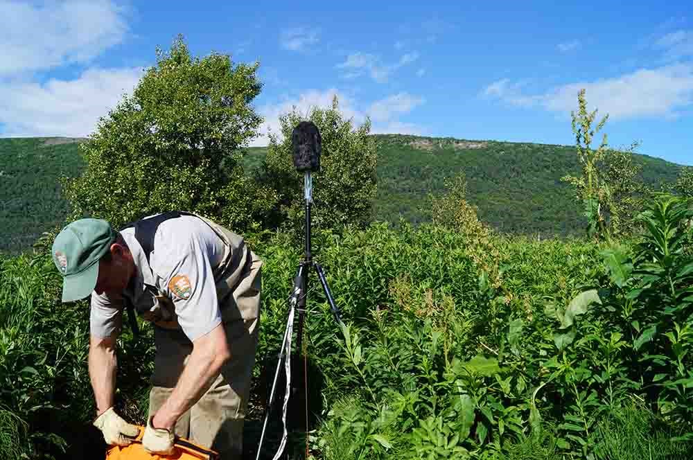 A man in NPS uniform takes down sound recording equipment in the backcountry.