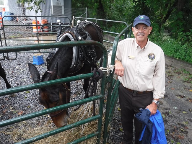 A man and mule