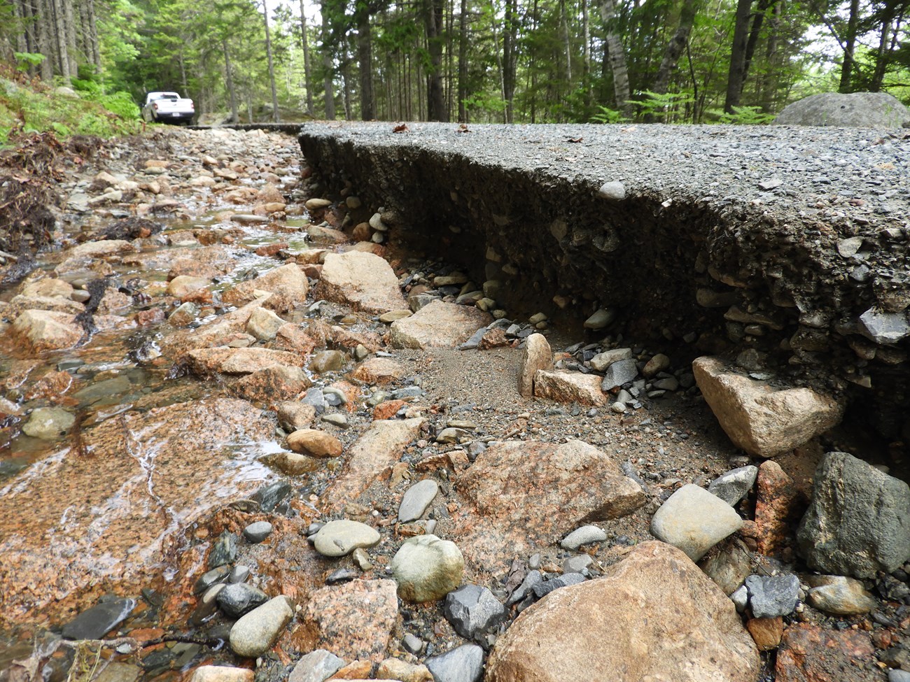 a view uphill of a washed out carriage road