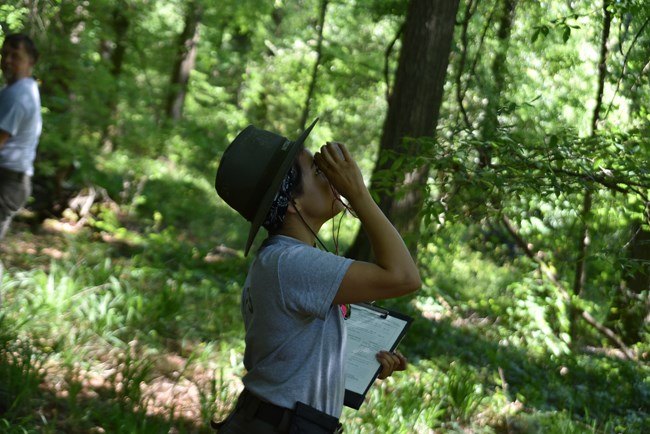Woman looks up through a clinometer