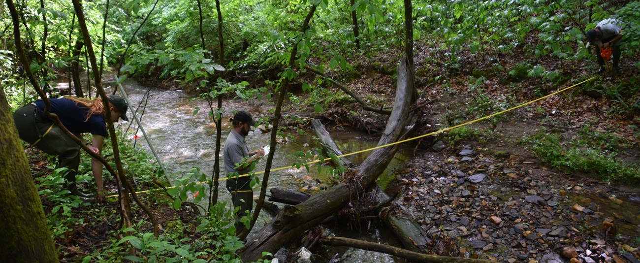 Measuring channel width two people stretch measuring tape across a stream