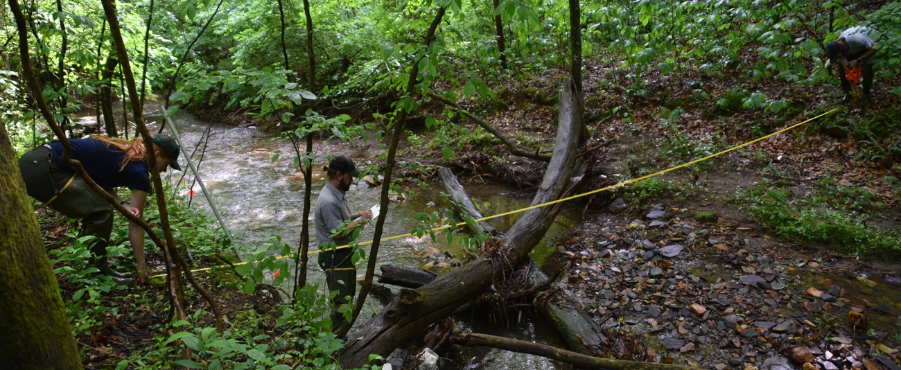 Measuring channel width two people stretch measuring tape across a stream