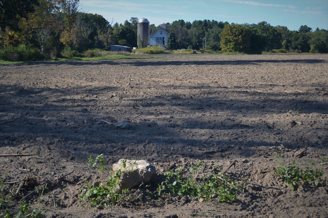 A rock sits on a ploughed farm field with farm structures in the background.