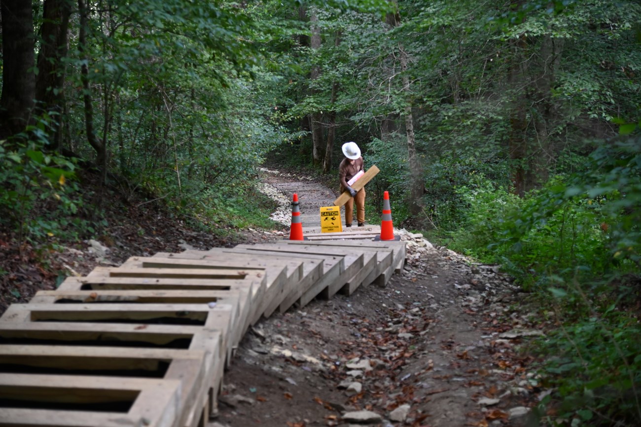 American Conservation Experience trail crew member carries wood up trail steps
