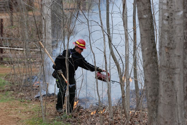 A wildland firefighter with a red drip torch in her hands ignites leaves and sticks on the grounds in a wooded area along a trail. The Firefighter is wearing a red helmet, black jacket and green pants.