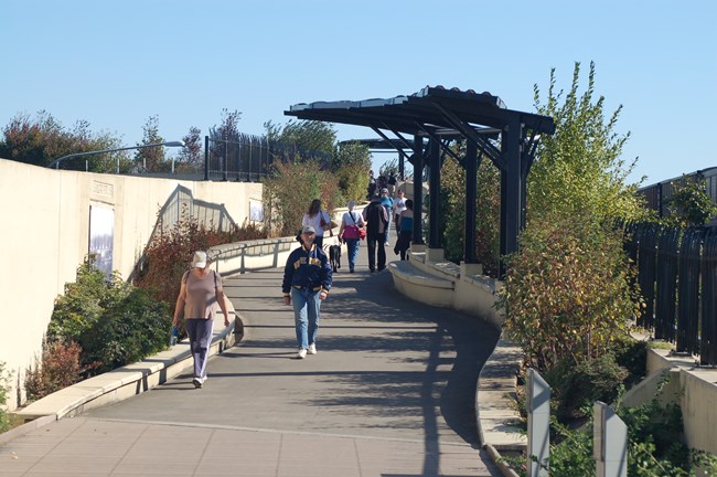 Visitors waslk over paved land bridge lined with native plants