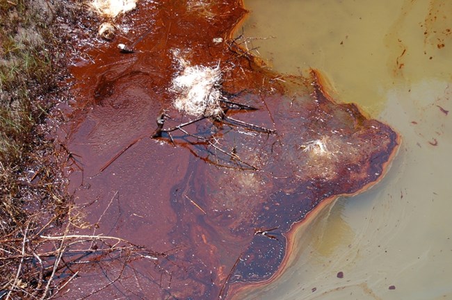 Deepwater Horizon Oil Spill on Gulf Coast A close up image of water that has a large brown spot caused by oil from an oil spill