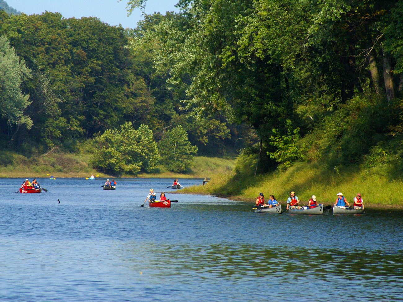 A group of people in brightly colored canoes paddle down the calm waters of the Delaware River