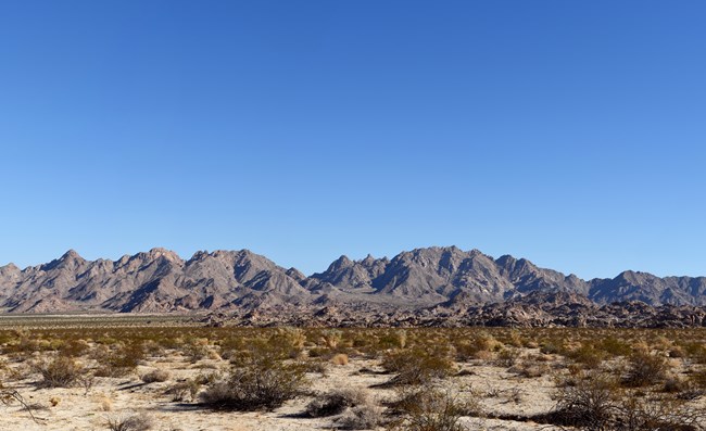 A clear sunny day with a large rugged mountain range off in the distance. A flat dry sandy playa scattered with shrubs covers the landscape in front of it.