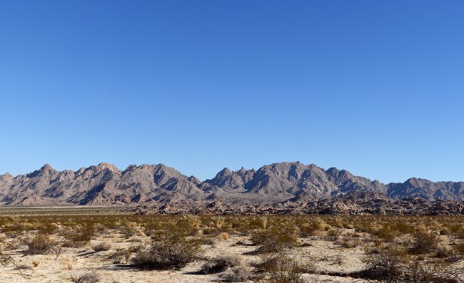 Desert Mountains A clear sunny day with a large rugged mountain range off in the distance. A flat dry sandy playa scattered with shrubs covers the landscape in front of it.