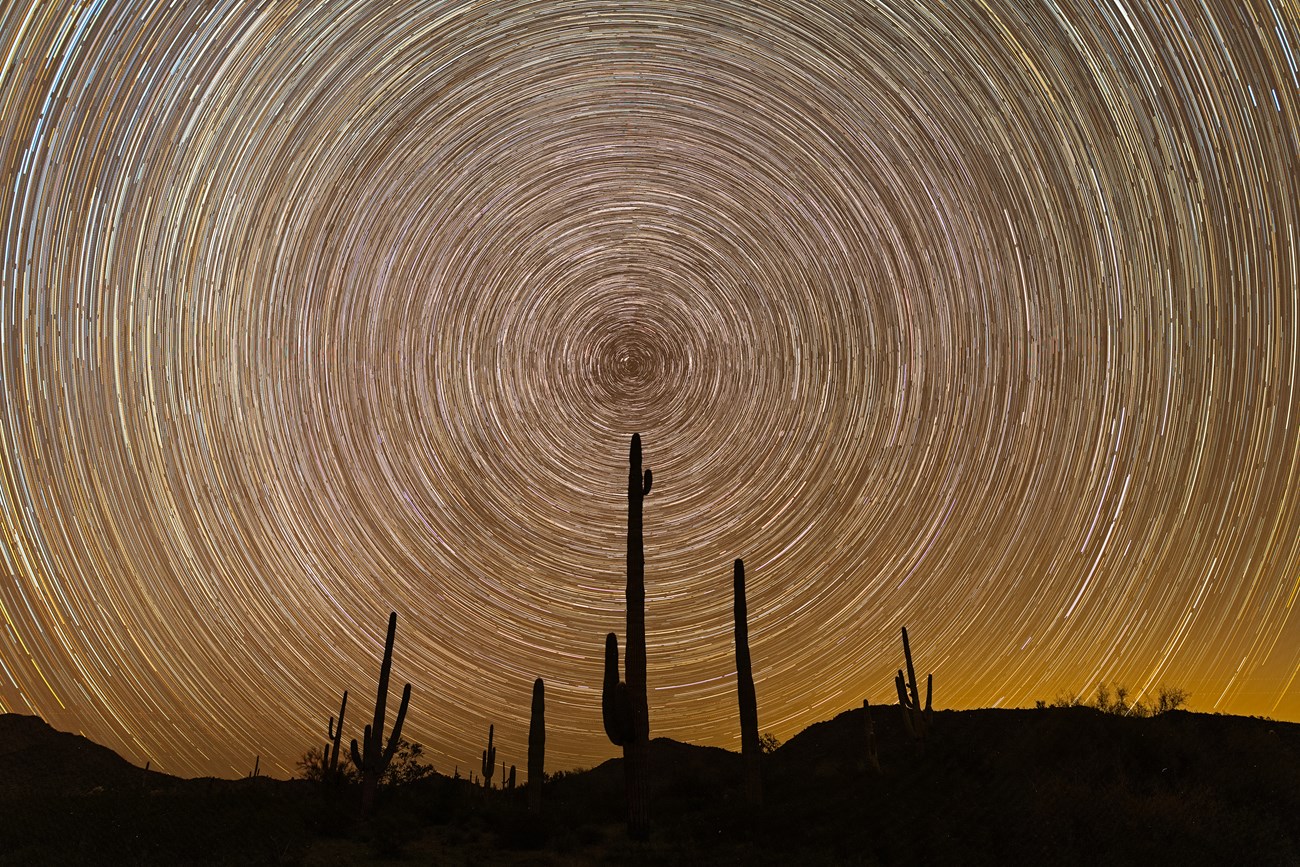 Desert star trails silhouettes of saguaro cacti with the circular patterns of star trails across the sky