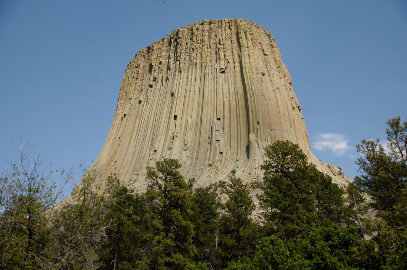 Devils Tower National Monument NPS Tall geologic feature: a tan stone monolith reaches toward the bright blue sky