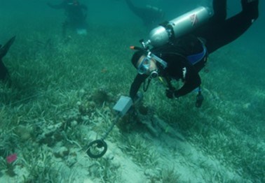 SCUBA diver using a metal detector on a sandy ocean floor. There are three other divers in the background.