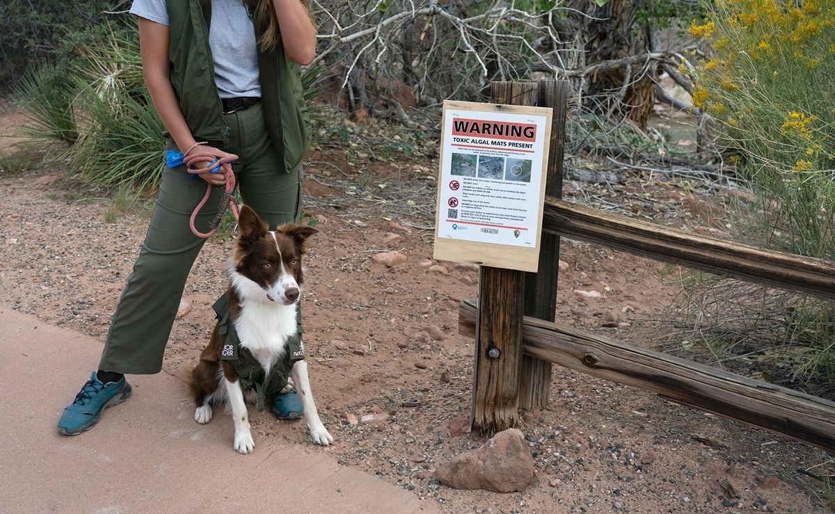 A woman holds the leash of a dog sitting on the side of a paved trail next to a warning sign on a wooden fence.