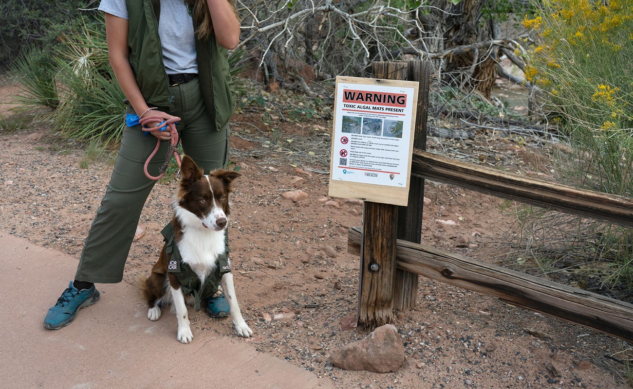 We recommend keeping your dog out of the water. A woman holds the leash of a dog sitting on the side of a paved trail next to a warning sign on a wooden fence.