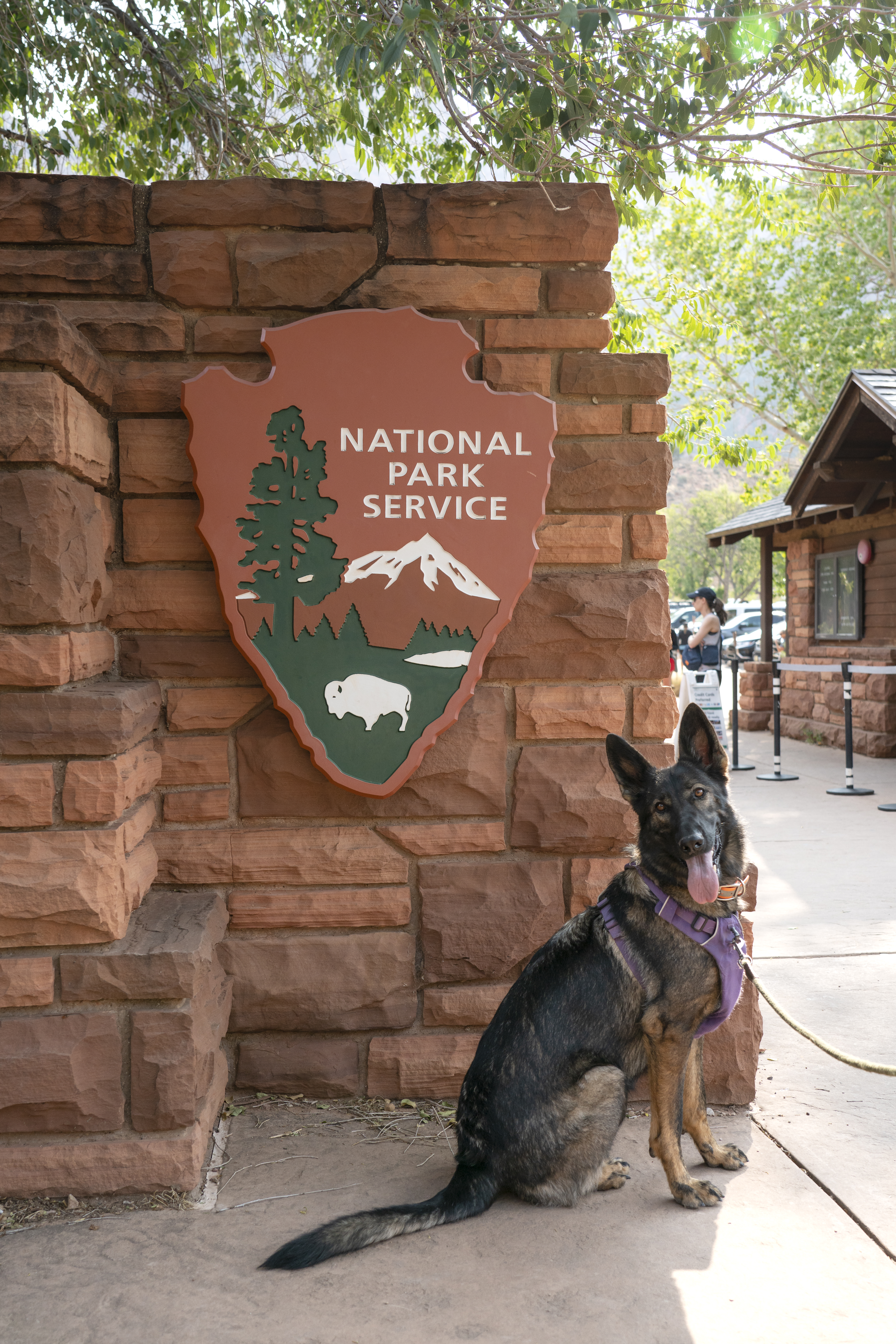 One dog sits in front of a red sandstone stonewall with the NPS Arrowhead on it.