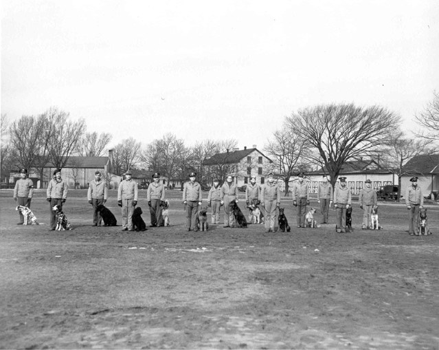 uniformed men stand in a line with dogs on leashes