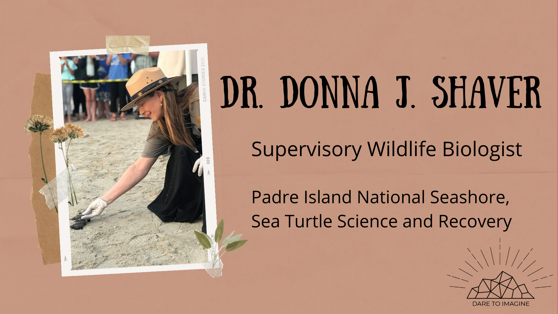 graphic of a woman. text reads Dr.Donna J. Shaver, Supervisory Wildlife Biologist