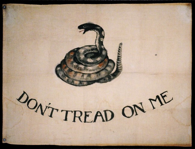 Don't Tread On Me Image of Snake on Flag