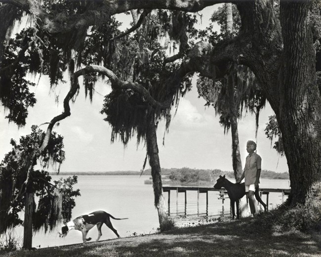 Doris with her greats dane sugar and other not named.