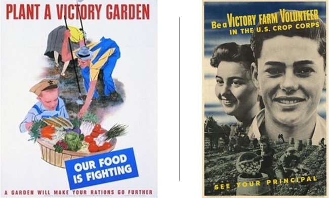 Two posters encouraging planting victory gardens and volunteering for Victory Farm