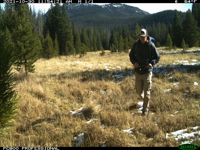 a trail camera photo of a man in a hat with a backpack in a mountain meadow