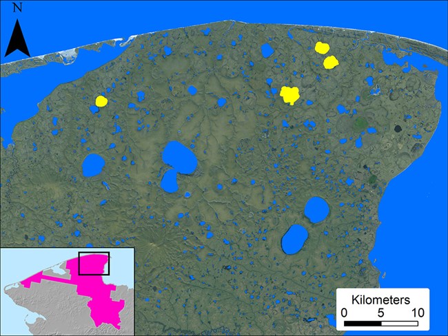 A map showing Bering Land Bridge and study lakes.