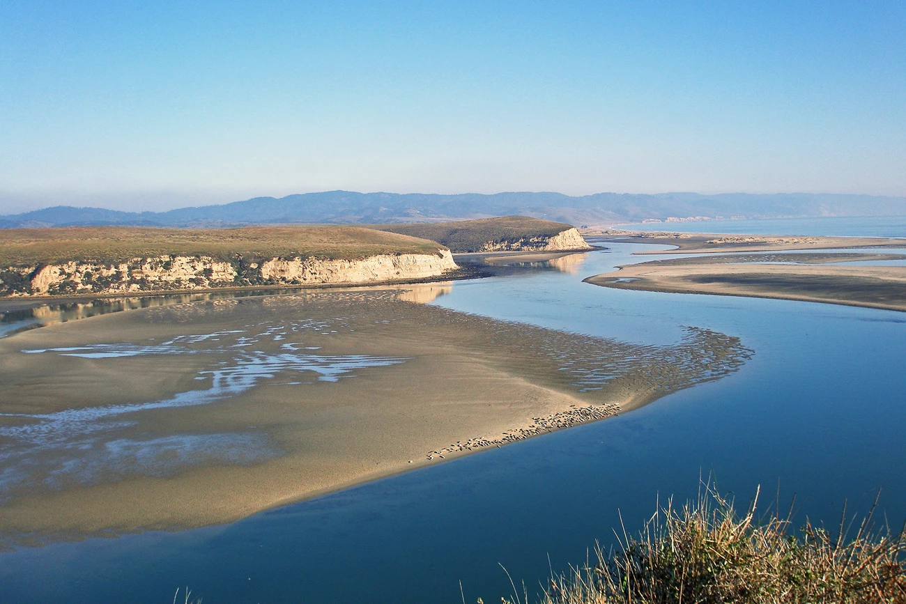 Drakes Estero Distant view from above of a bay with many protruding, grass-covered spits of land, white cliffs, and blue waters. A large sandbar is in the center, upon which harbor seals are resting.
