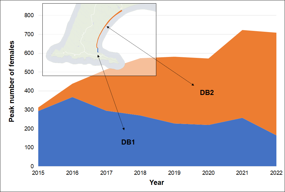 Drakes Beach Colony Expansion Stacked area graph of peak breeding females on Drakes Beach from 2015 to 2022. The number of females occupying the original extent of the colony shrinks while numbers on the rest of the beach rise dramatically accounting for significant growth overall.